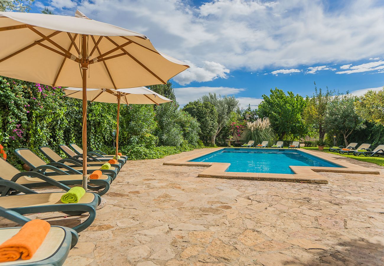 Hamacas y sombrillas en la piscina