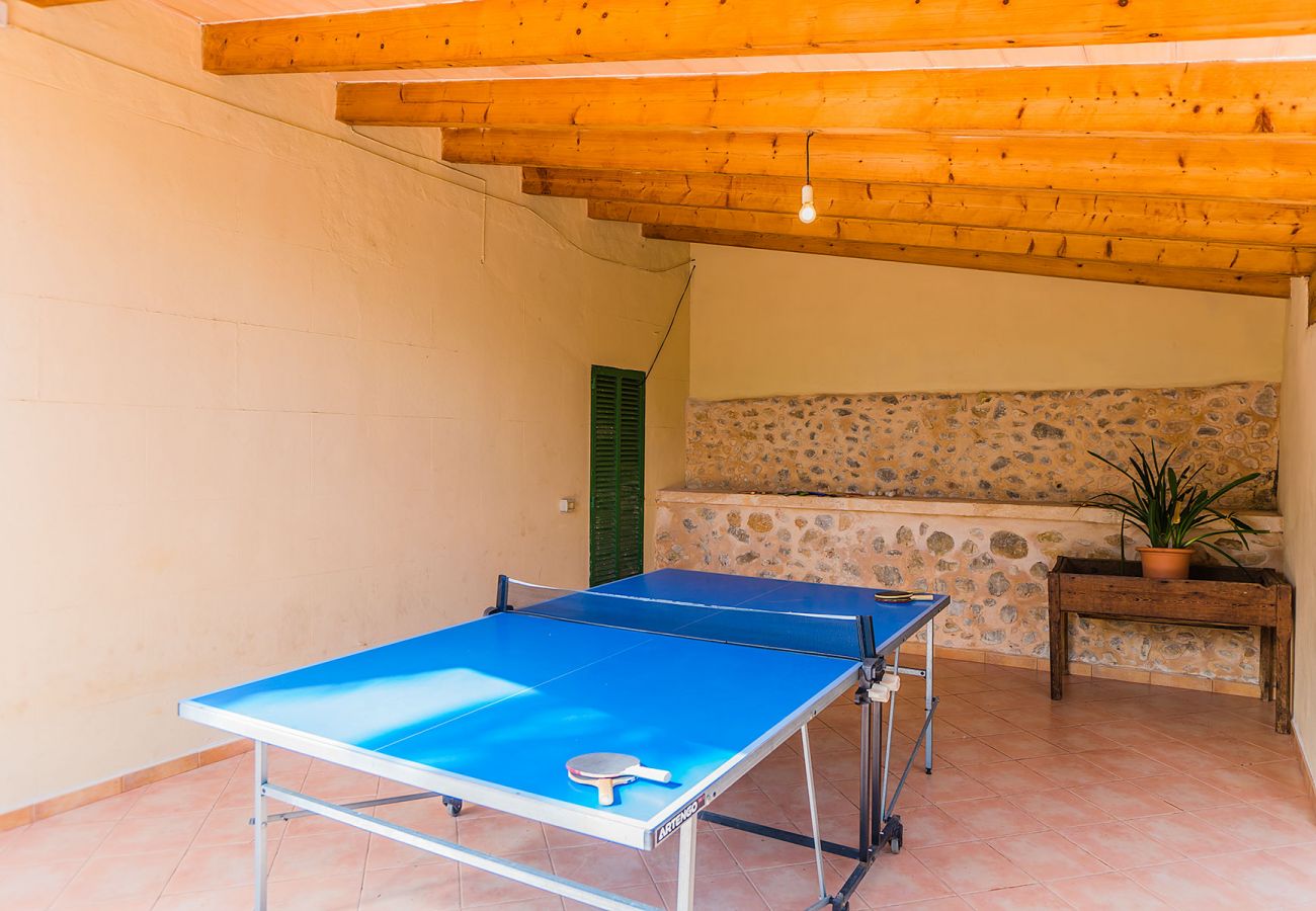 Mesa de Ping Pong 