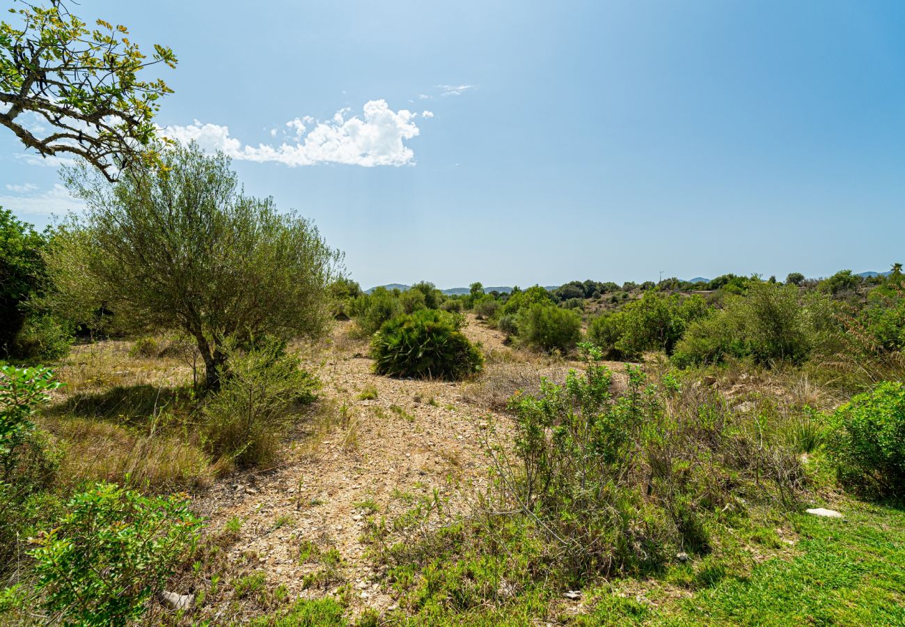 Finca en Arta - Finca Can Canals - Arta - Tu Finca Mallorca