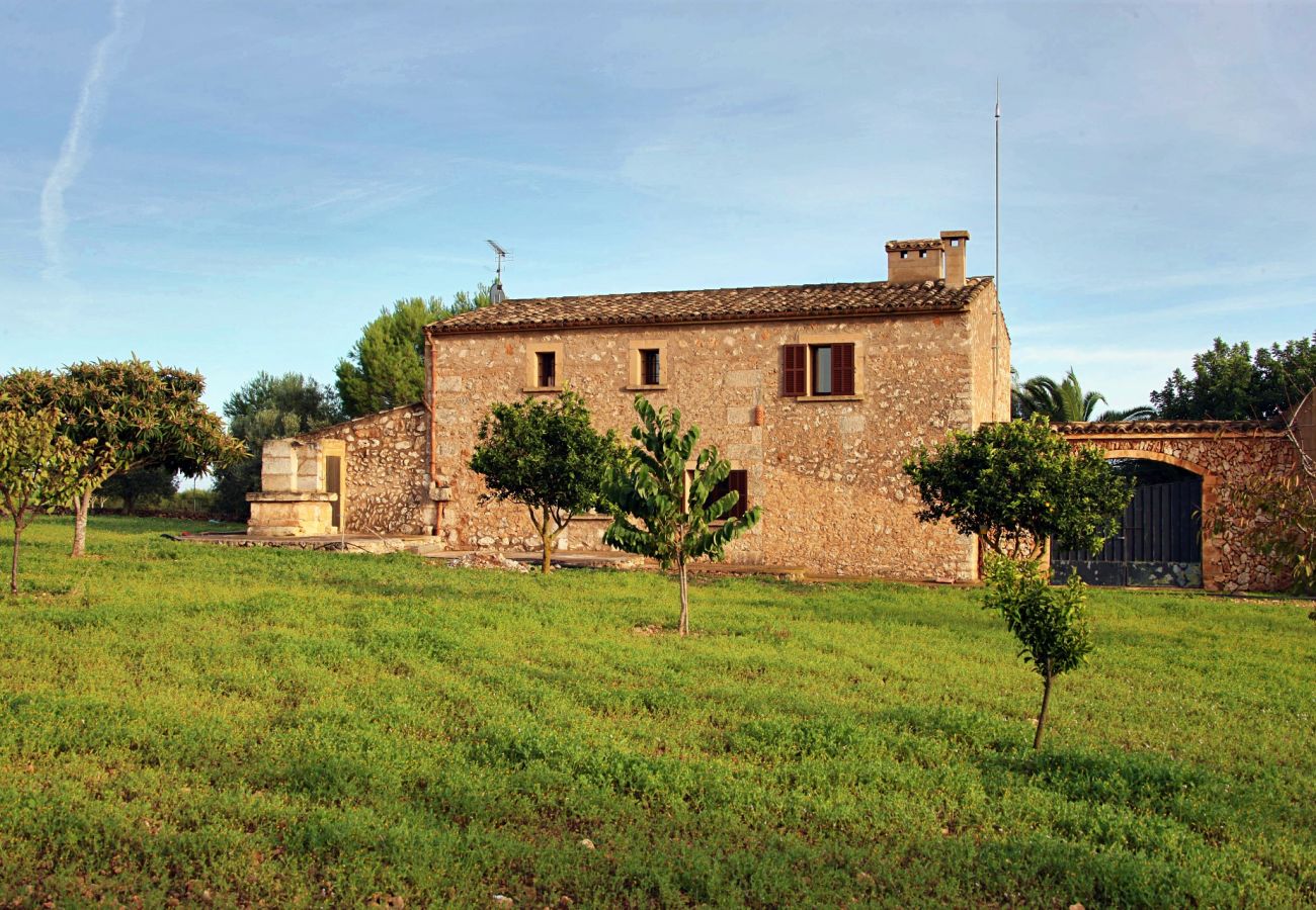 Finca en Porto Cristo - Can Moleta - Porto Cristo - Mallorca