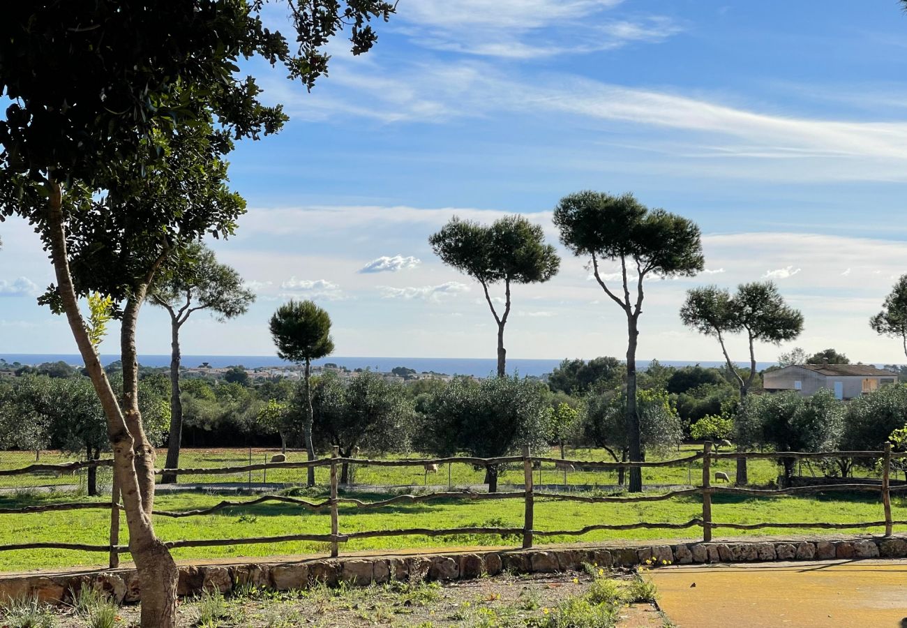 Finca en Porto Cristo - Can Moleta - Porto Cristo - Mallorca