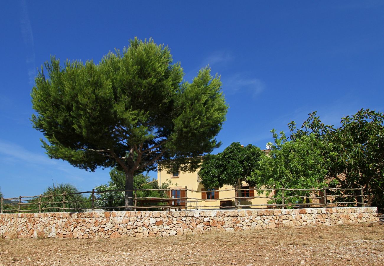 Finca en Porto Cristo - Finca Vista Alegre - Porto Cristo - Mallorca