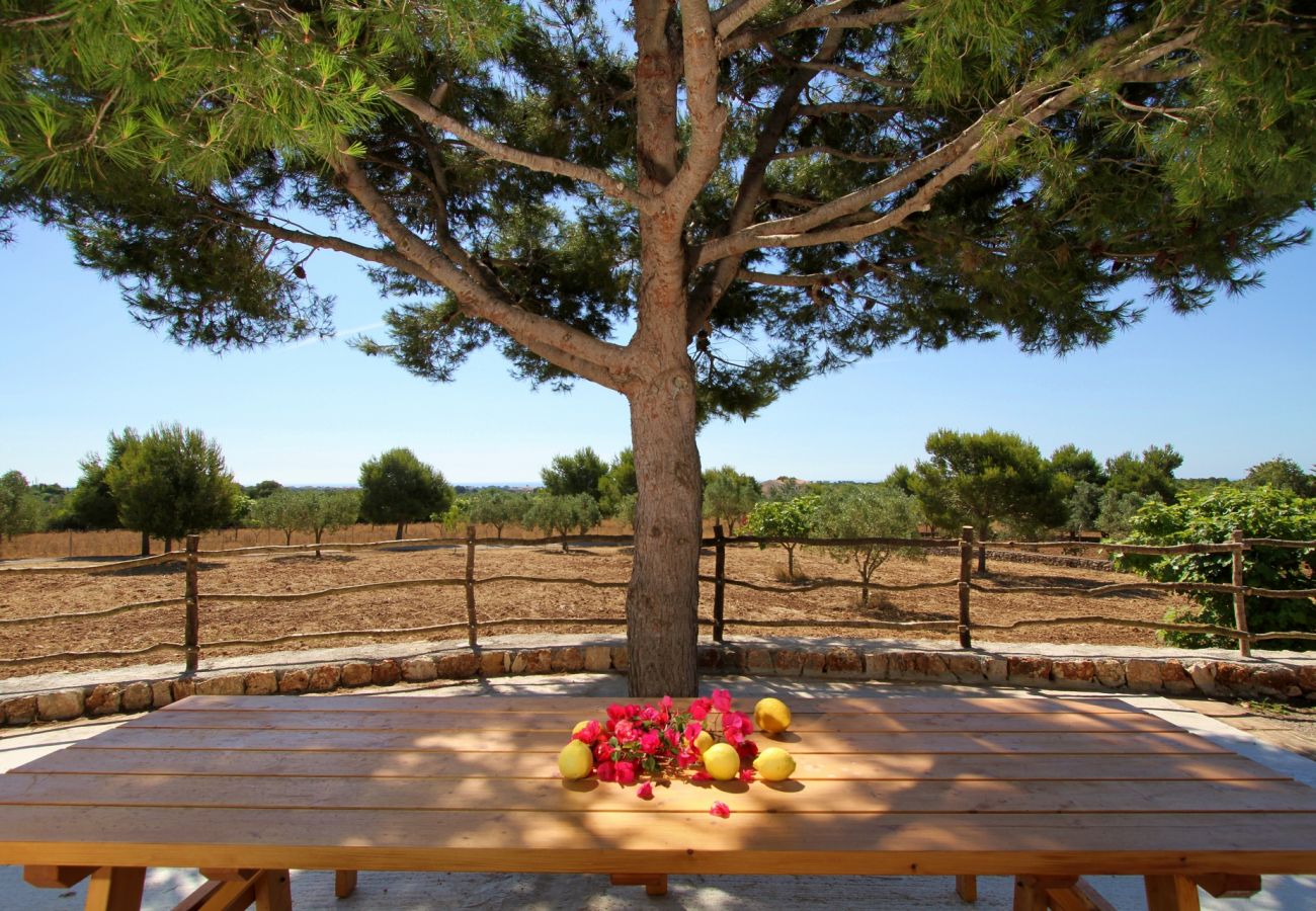 Finca en Porto Cristo - Finca Vista Alegre - Porto Cristo - Mallorca