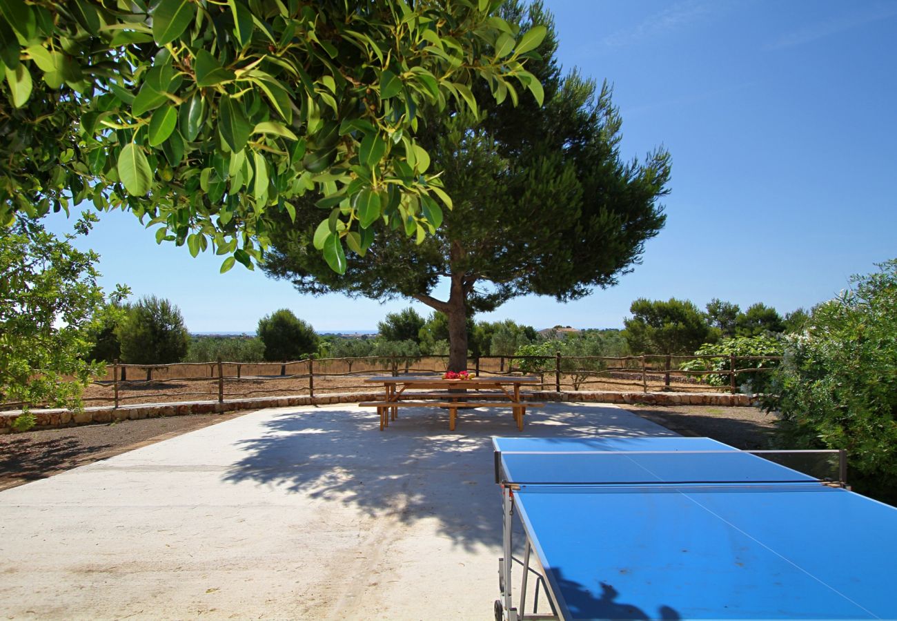 Finca en Porto Cristo - Finca Vista Alegre - Porto Cristo - Mallorca