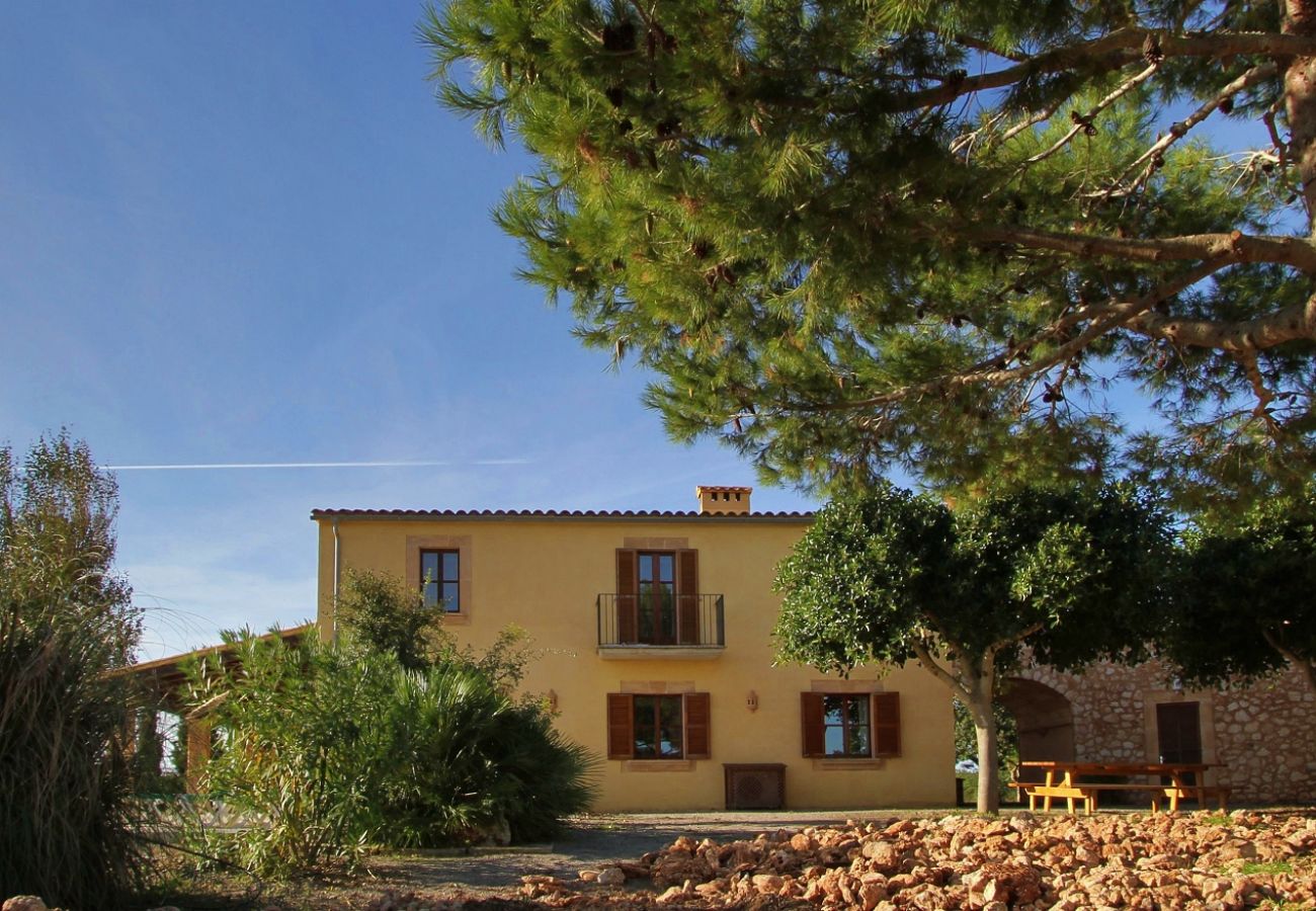 Finca en Porto Cristo - Finca Vista Alegre - Porto Cristo - Mallorca