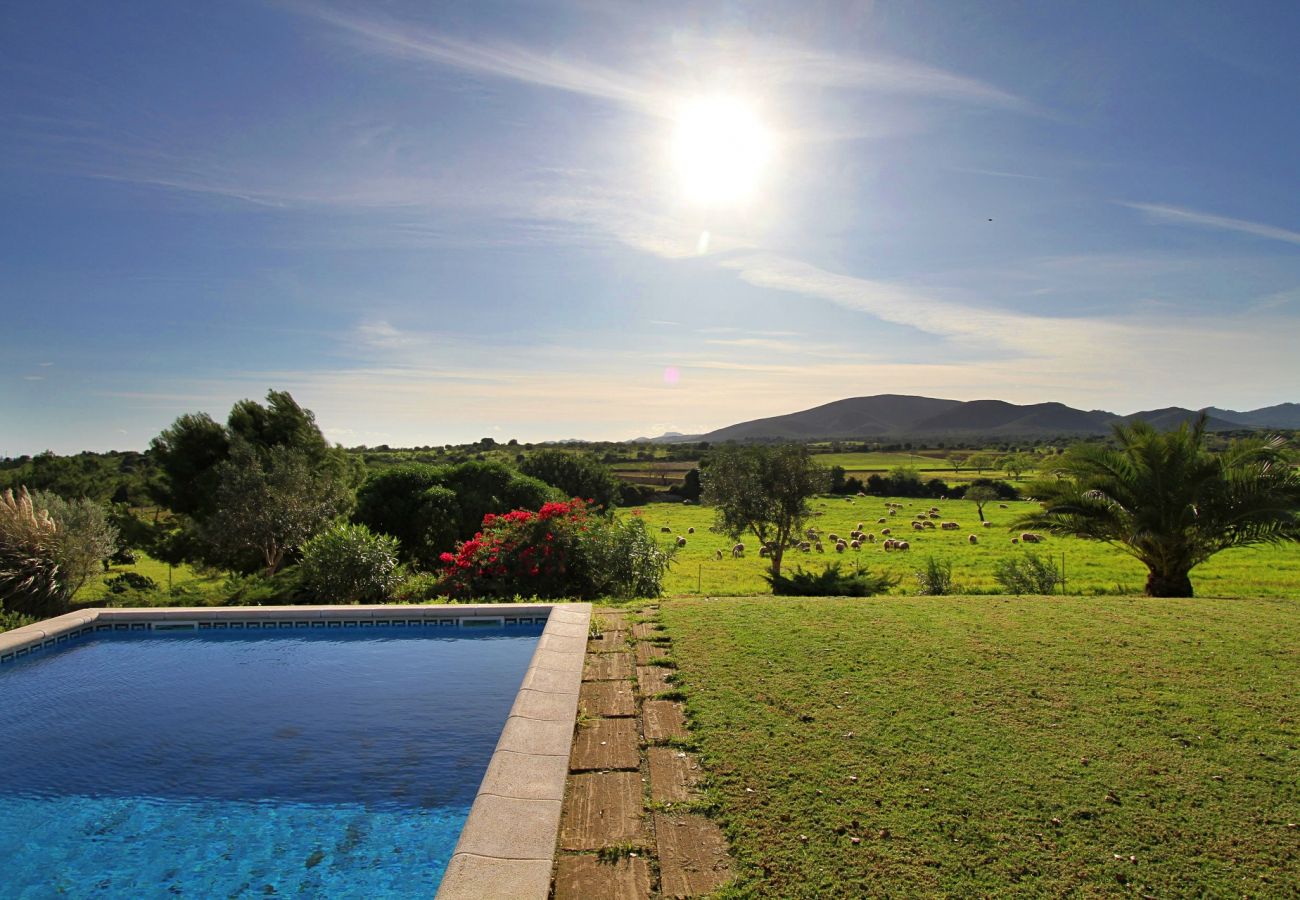 Finca en Porto Cristo - Finca Vista Alegre - Porto Cristo - Mallorca