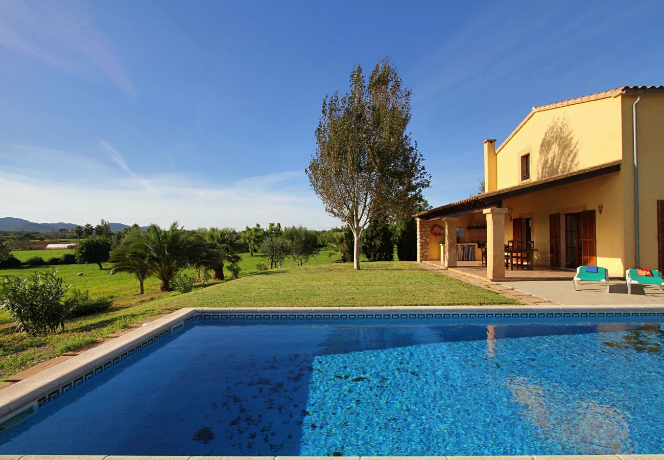 Finca en Porto Cristo - Finca Vista Alegre - Porto Cristo - Mallorca