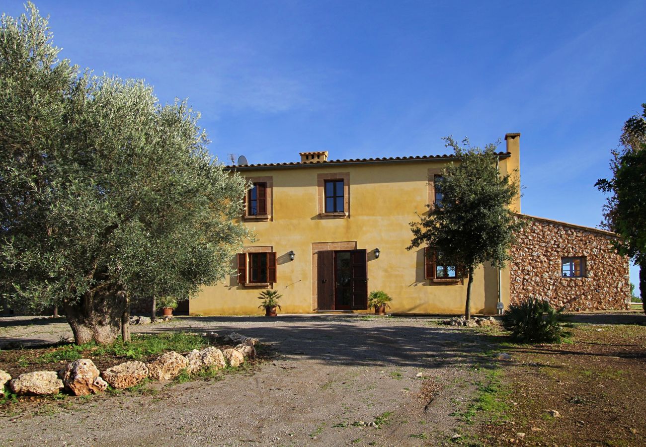 Finca en Porto Cristo - Finca Vista Alegre - Porto Cristo - Mallorca