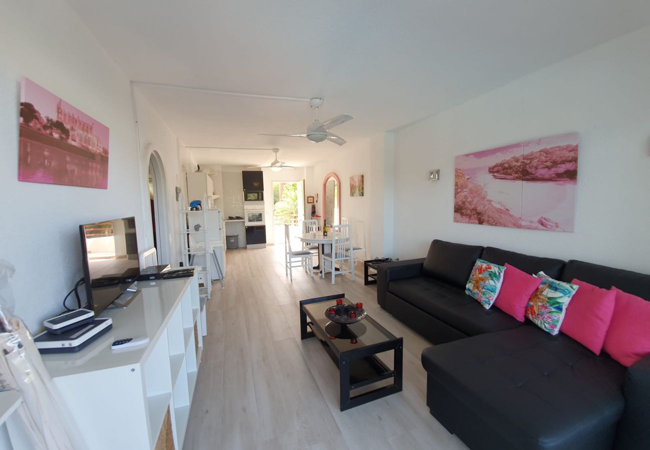 Apartamento en Alcúdia - Siesta 233 - Alcudia - Mallorca