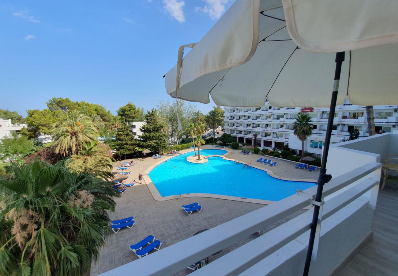 Apartamento en Alcúdia - Siesta 233 - Alcudia - Mallorca