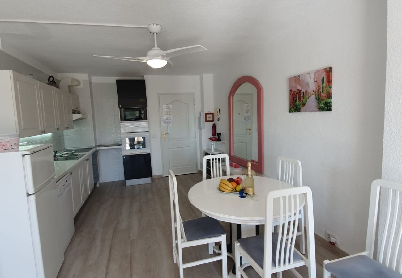 Apartamento en Alcúdia - Siesta 233 - Alcudia - Mallorca