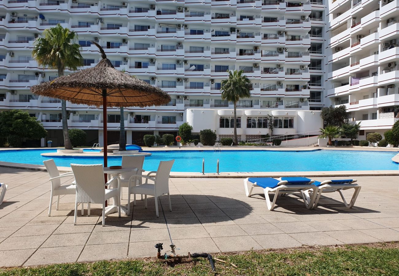 Apartamento en Alcúdia - Siesta 233 - Alcudia - Mallorca