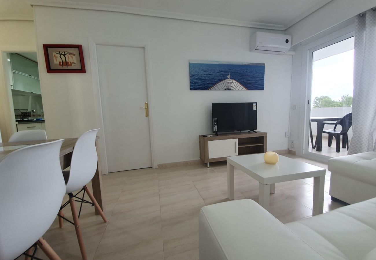 Apartamento en Alcúdia - Siesta 327 - Alcudia - Mallorca