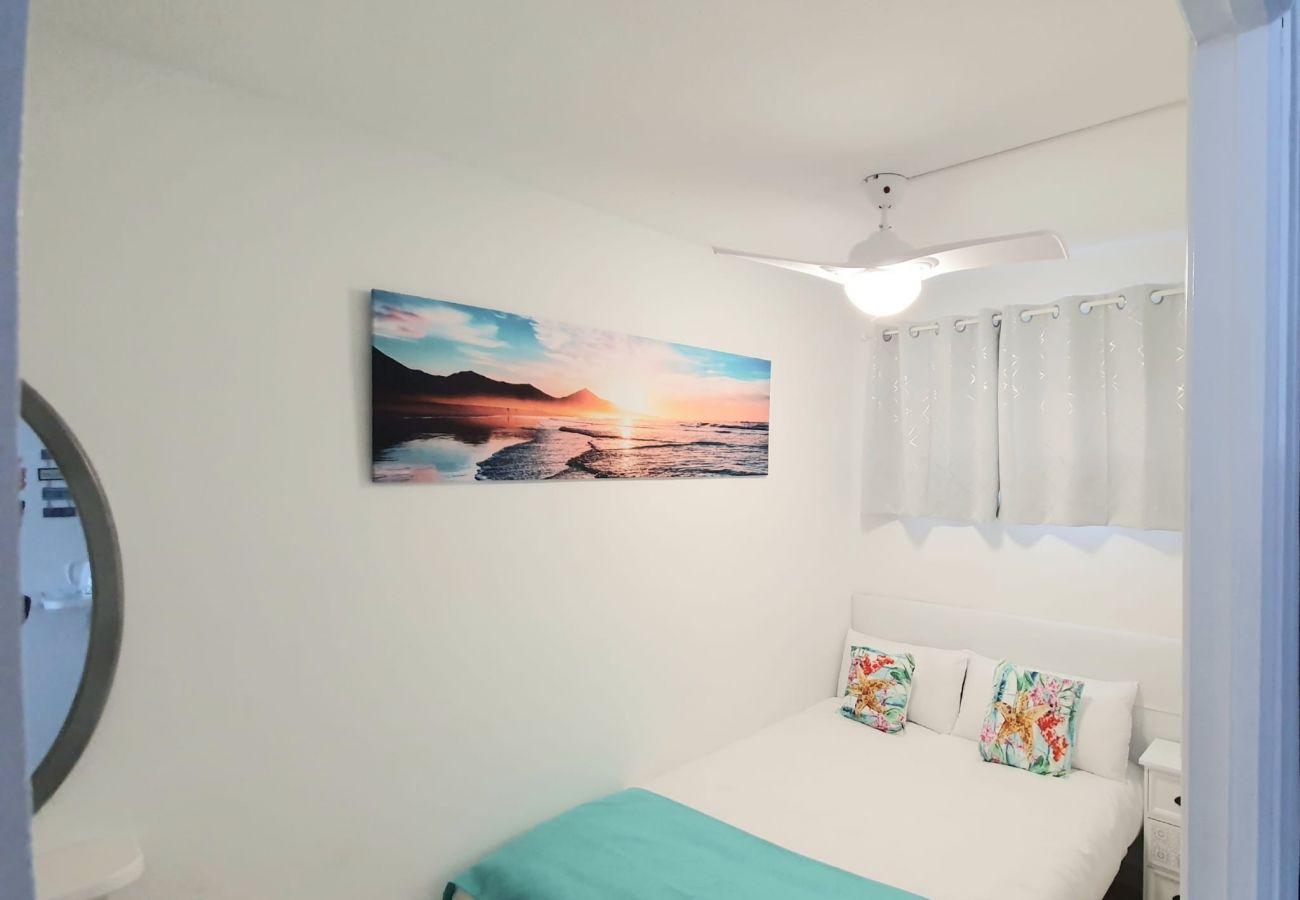 Apartamento en Alcúdia - Siesta 327 - Alcudia - Mallorca