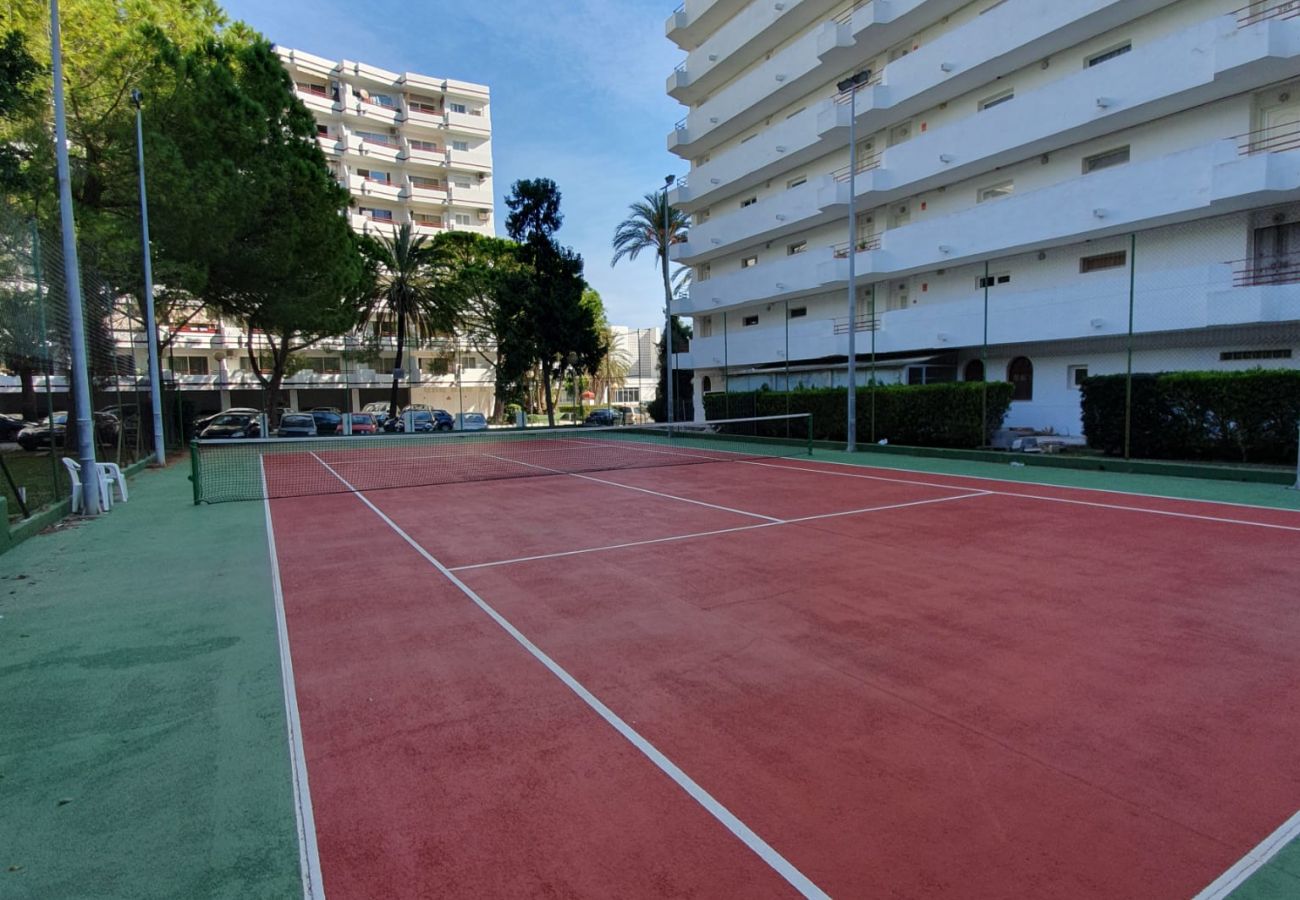 Apartamento en Alcúdia - Siesta 327 - Alcudia - Mallorca