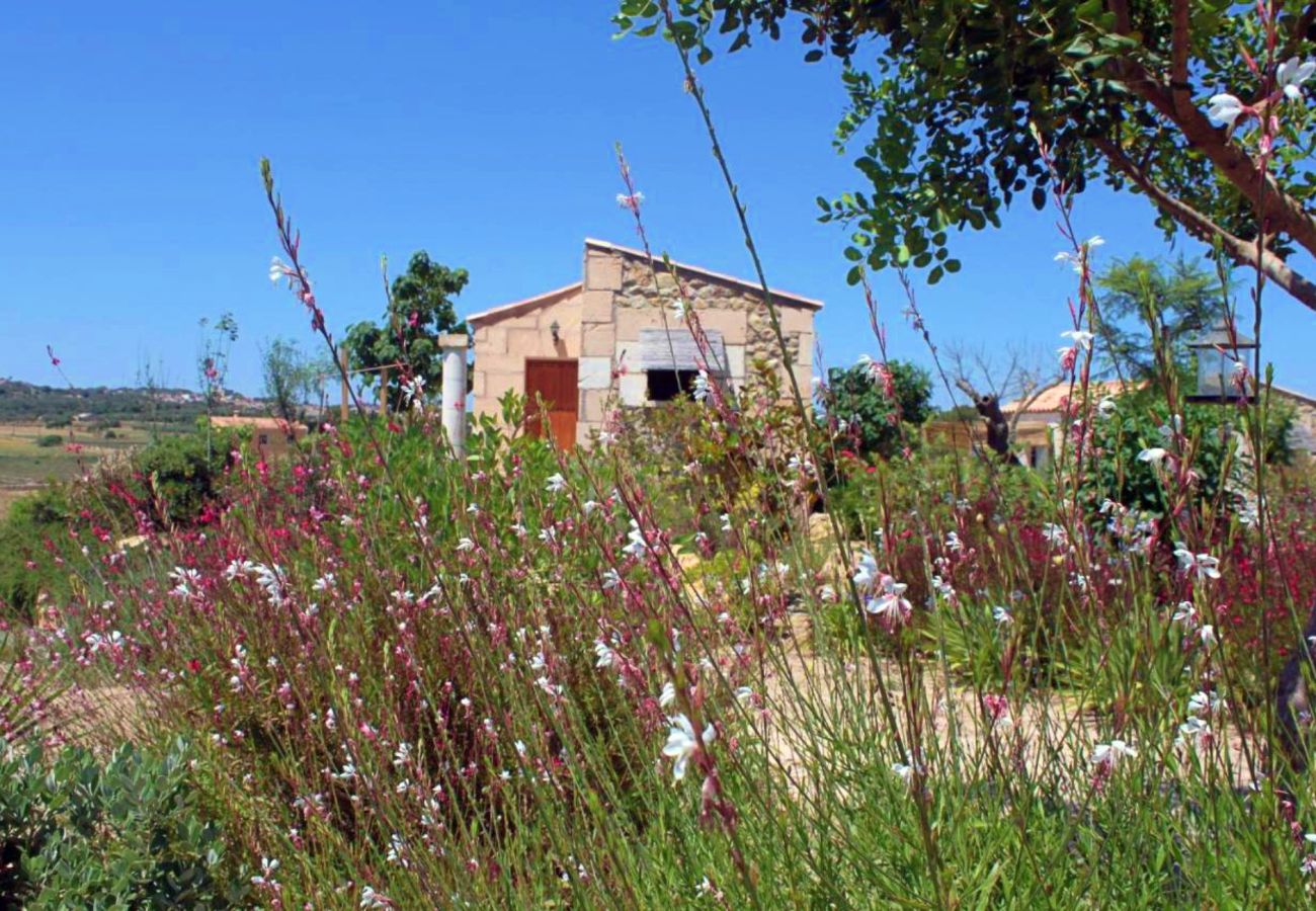 Finca en Maria de la salut - El Rincon de Maria