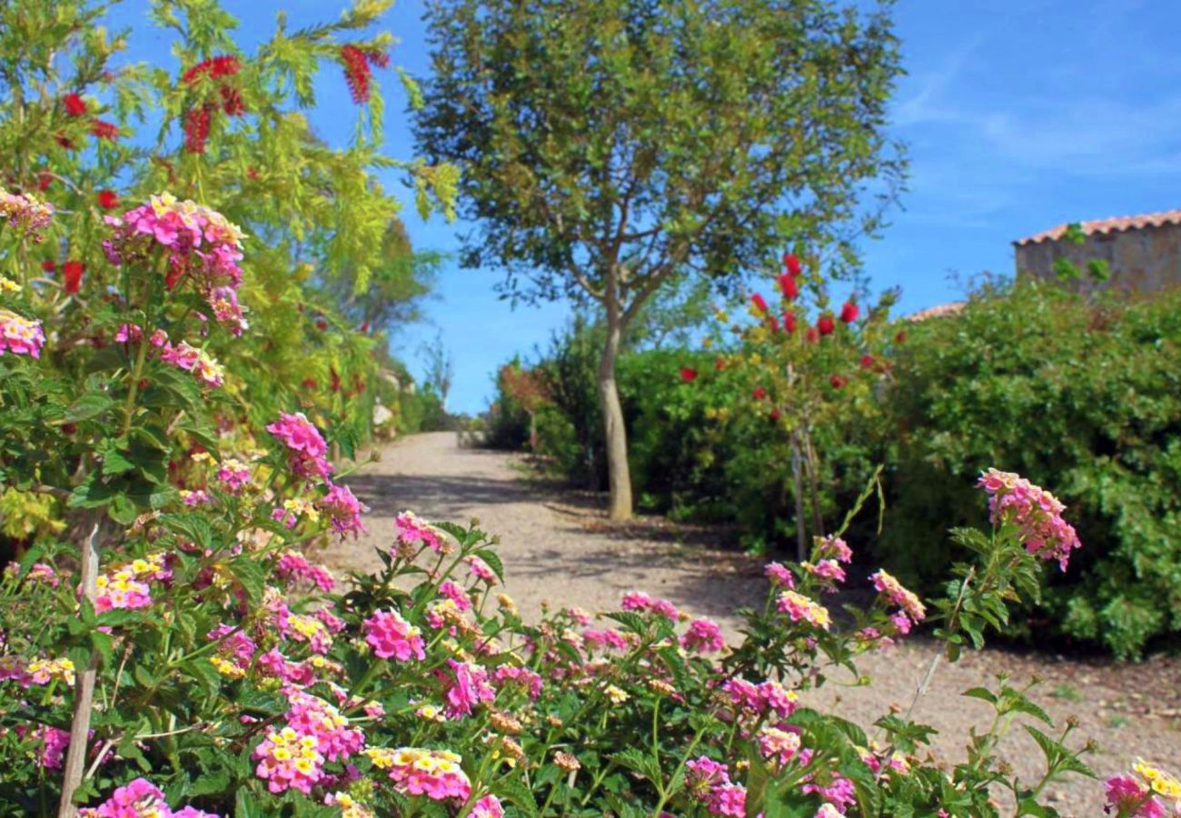 Finca en Maria de la salut - El Rincon de Maria