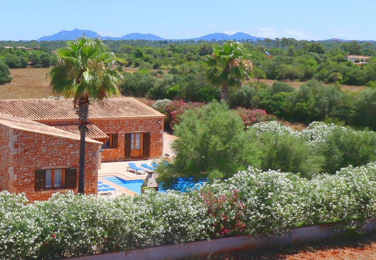 Finca en Campos - Can Mates Nou - Campos - Mallorca