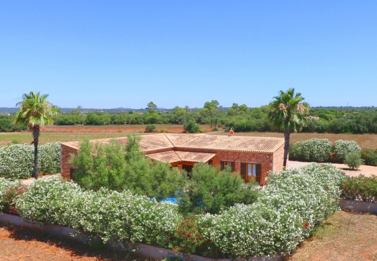 Finca en Campos - Can Mates Nou - Campos - Mallorca