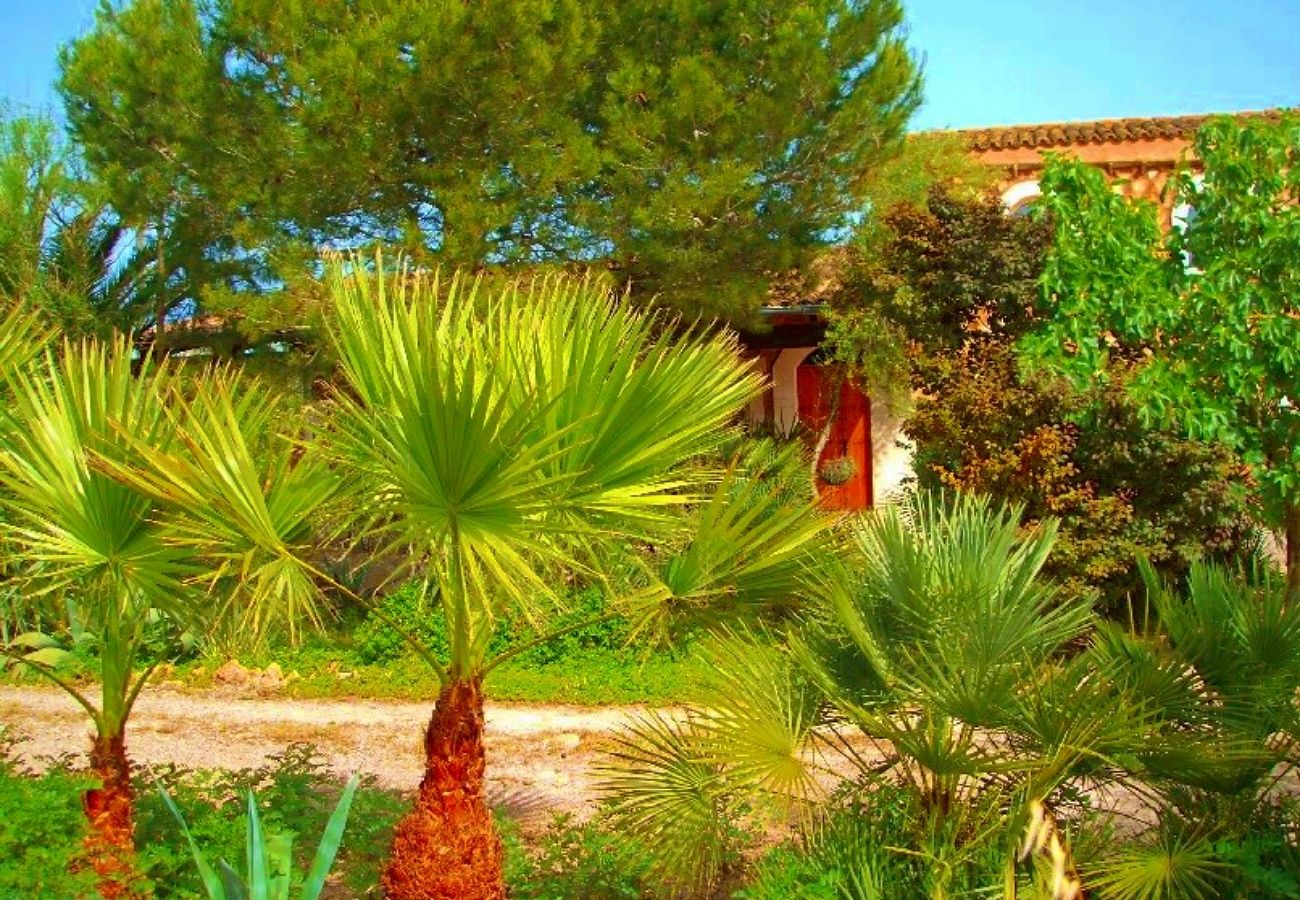 Finca en Campos - Finca Can Bril - Campos - Mallorca