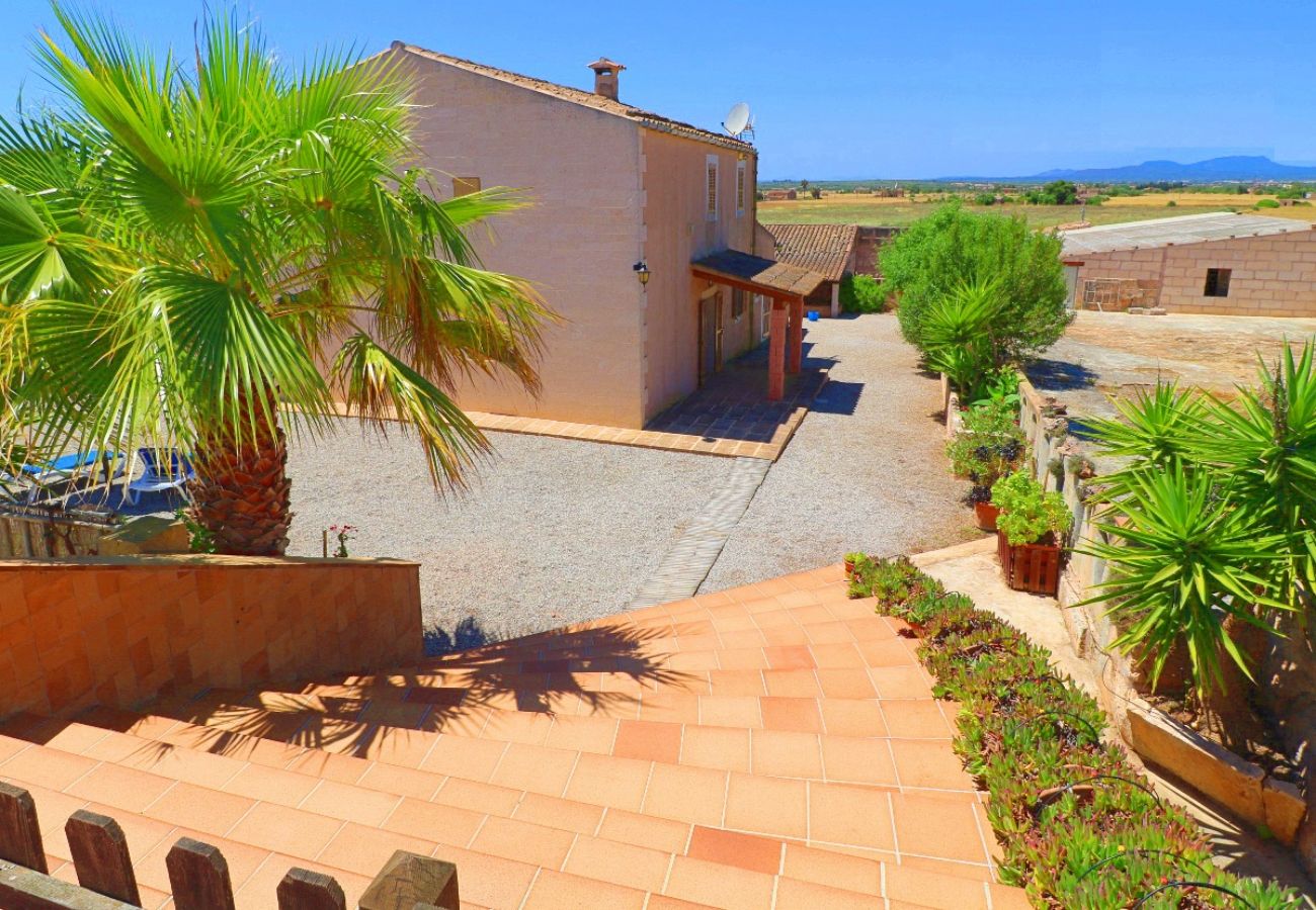 Finca en Campos - Finca Alcoraia ETV/2951 - Campos - Mallorca