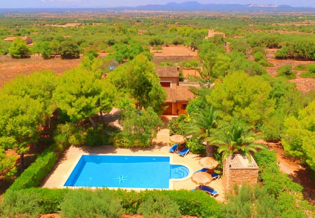 Finca en Campos - Finca Can Crestall - Campos - Mallorca