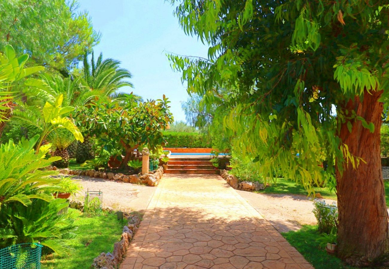 Finca en Campos - Finca Can Crestall - Campos - Mallorca