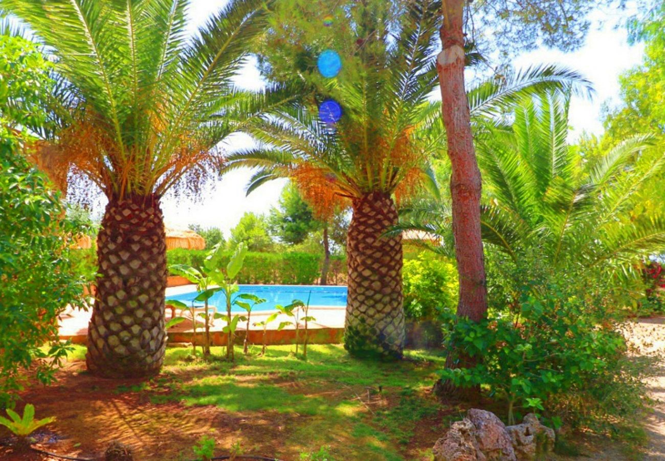 Finca en Campos - Finca Can Crestall - Campos - Mallorca