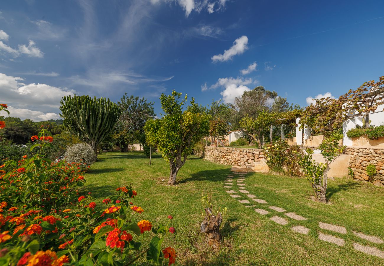 Finca en Sant Josep de Sa Talaia / San Jose - Can Pujol - Benimussa - Ibiza