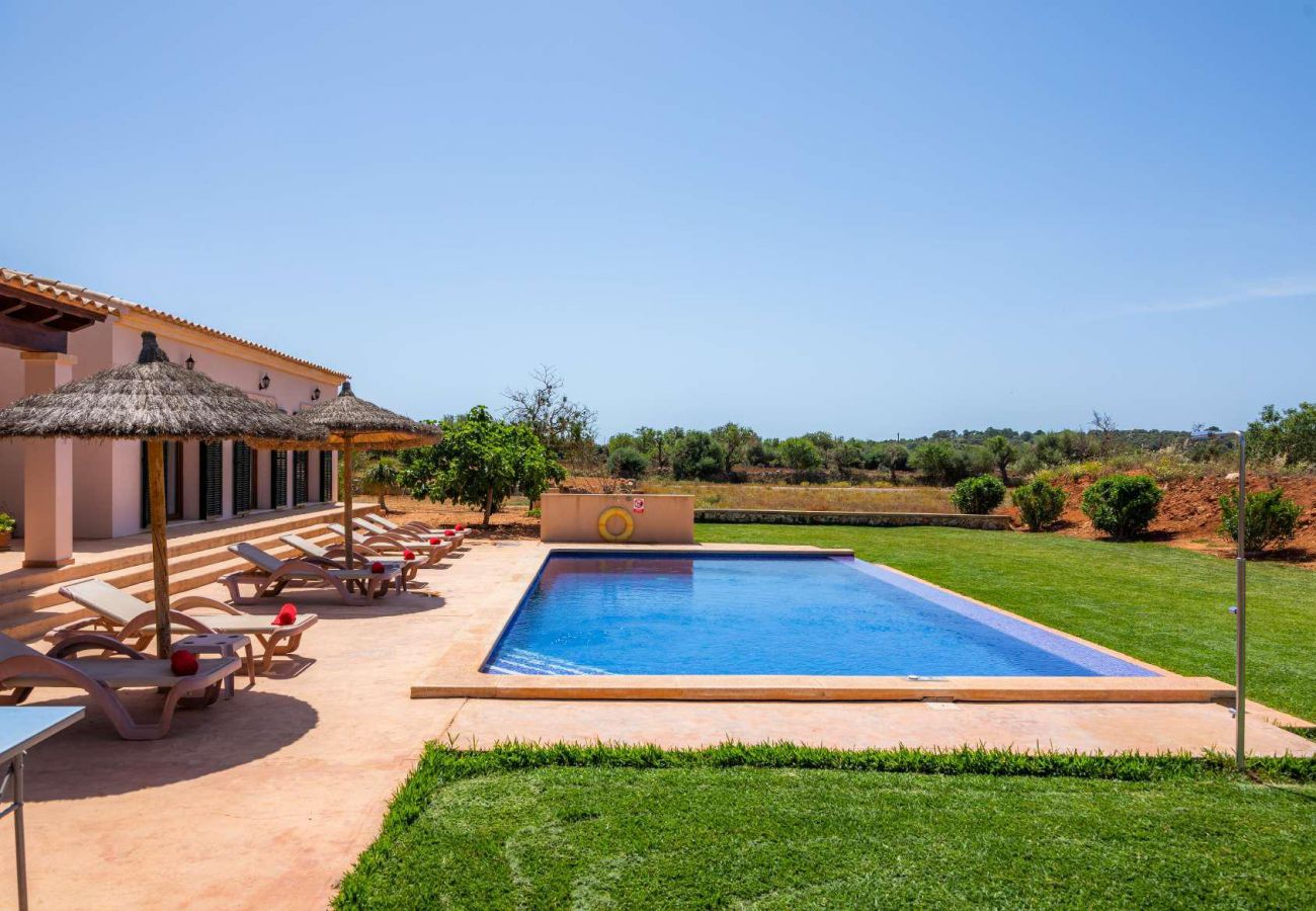 Finca in Felanitx - SA XORCA