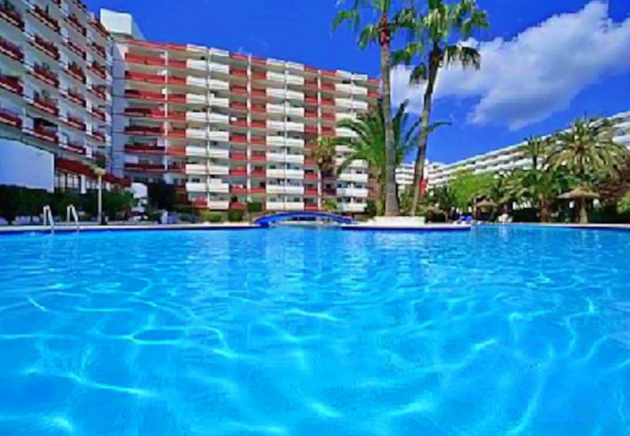 Ferienwohnung in Puerto de Alcudia - Siesta La Panoramica Alcudia Mallorca