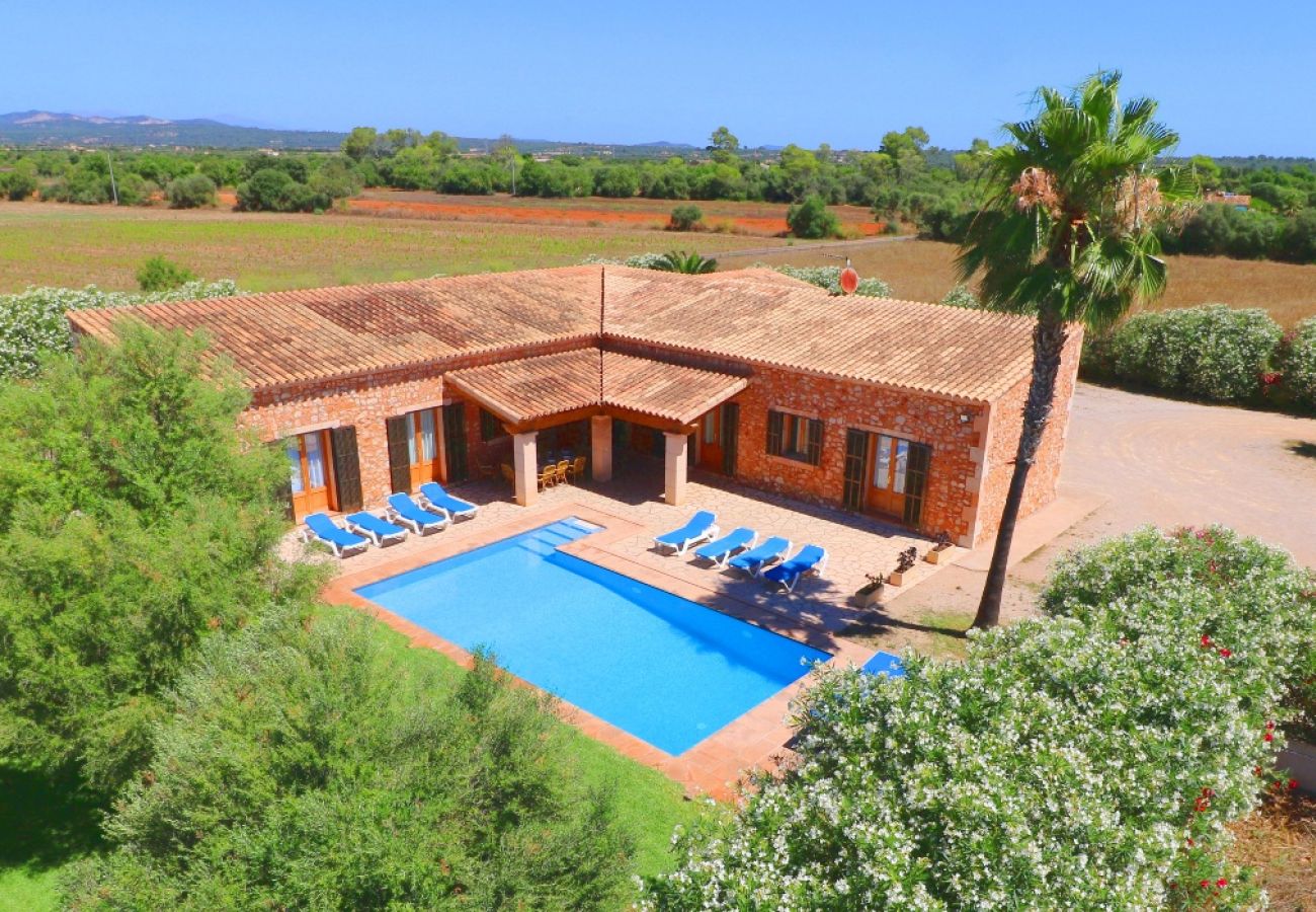 Finca in Campos - Can Mates Nou - Campos - Mallorca