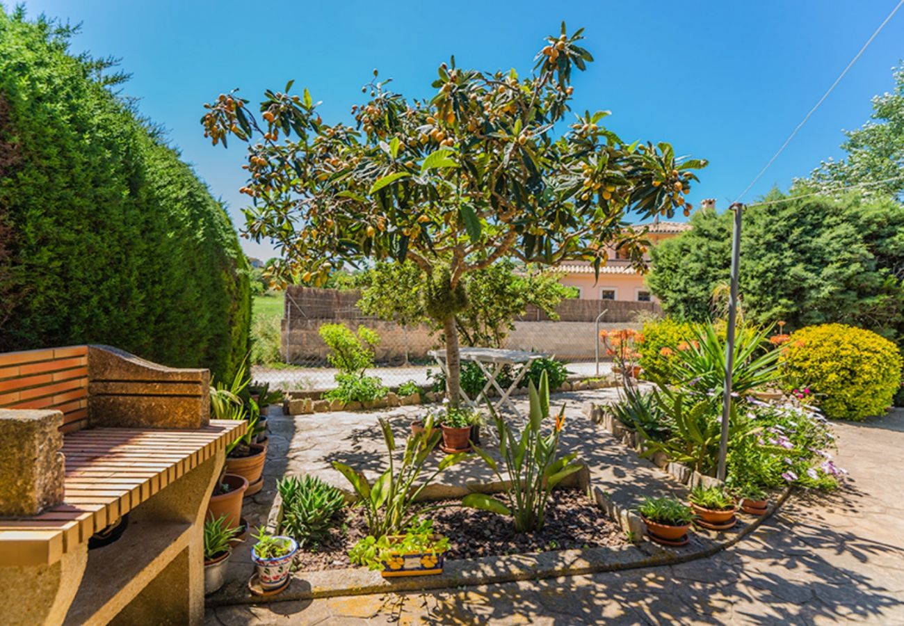 Country house in Santa Eugenia - Finca Es Viola Santa Eugenia - Tu Finca Mallorca