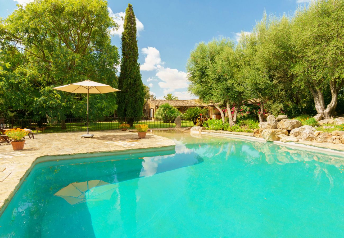 Fenced swimming pool of the Finca Es´Sestadors in Buger by Tu Finca Mallorca . com