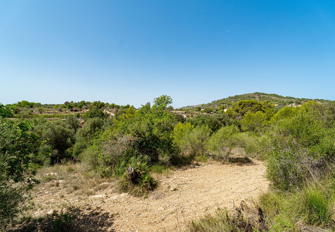 Country house in Arta - Finca Can Canals - Arta - Tu Finca Mallorca