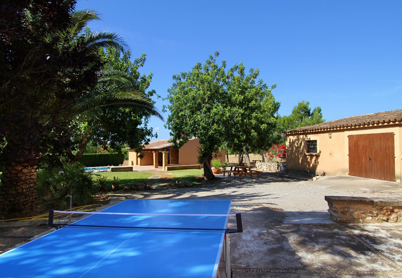 Country house in Porto Cristo - Can Moleta - Porto Cristo - Mallorca