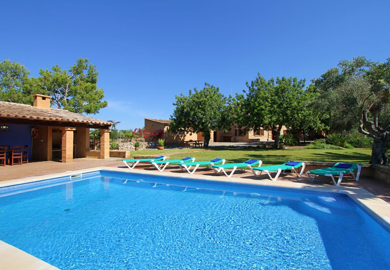 Country house in Porto Cristo - Can Moleta - Porto Cristo - Mallorca