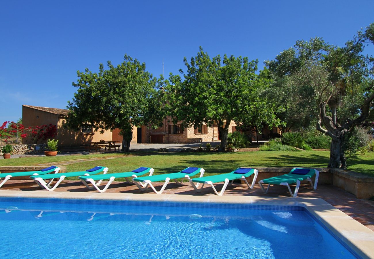 Country house in Porto Cristo - Can Moleta - Porto Cristo - Mallorca