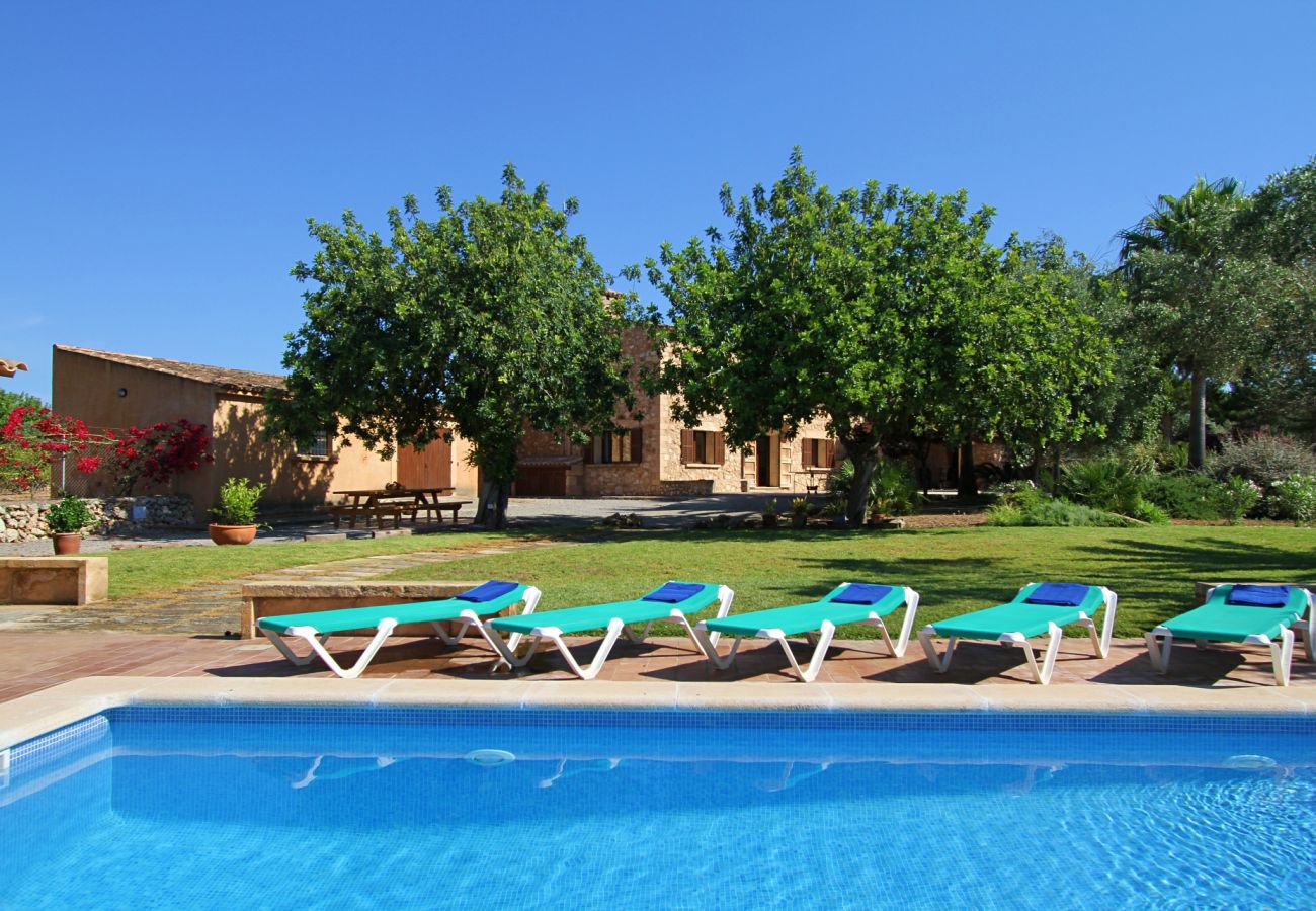 Country house in Porto Cristo - Can Moleta - Porto Cristo - Mallorca