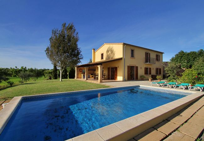 Porto Cristo - Country house