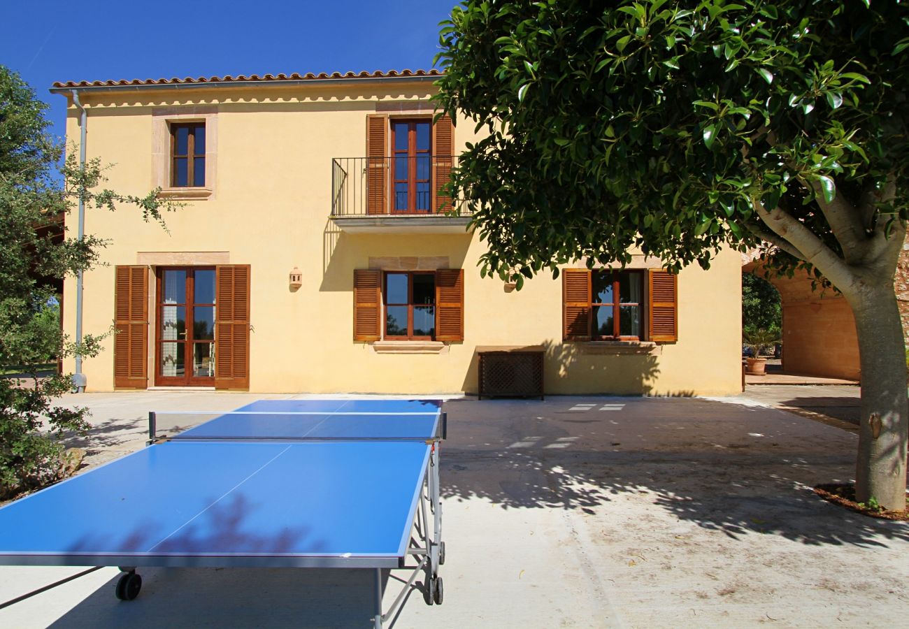 Country house in Porto Cristo - Finca Vista Alegre - Porto Cristo - Mallorca