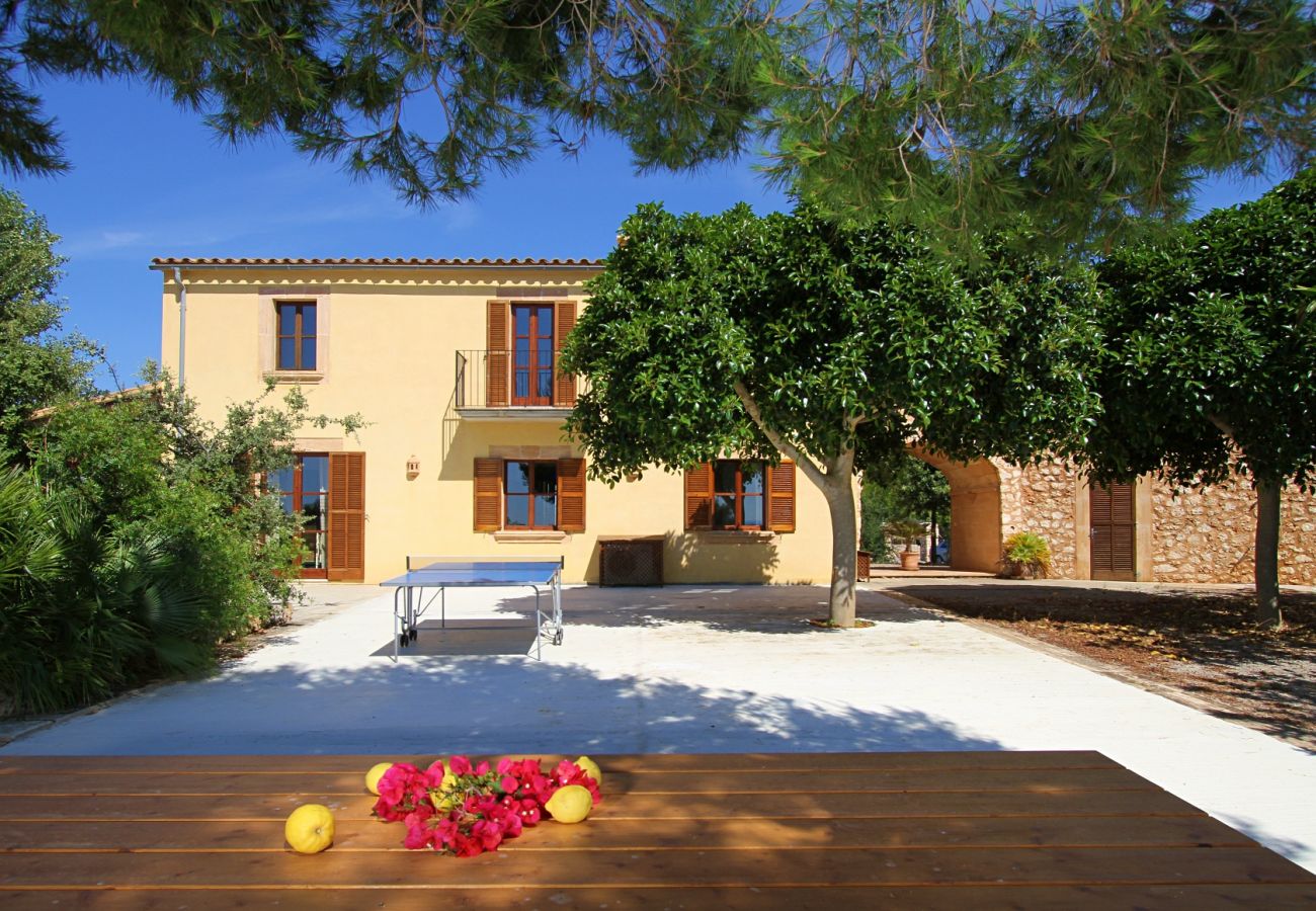 Country house in Porto Cristo - Finca Vista Alegre - Porto Cristo - Mallorca