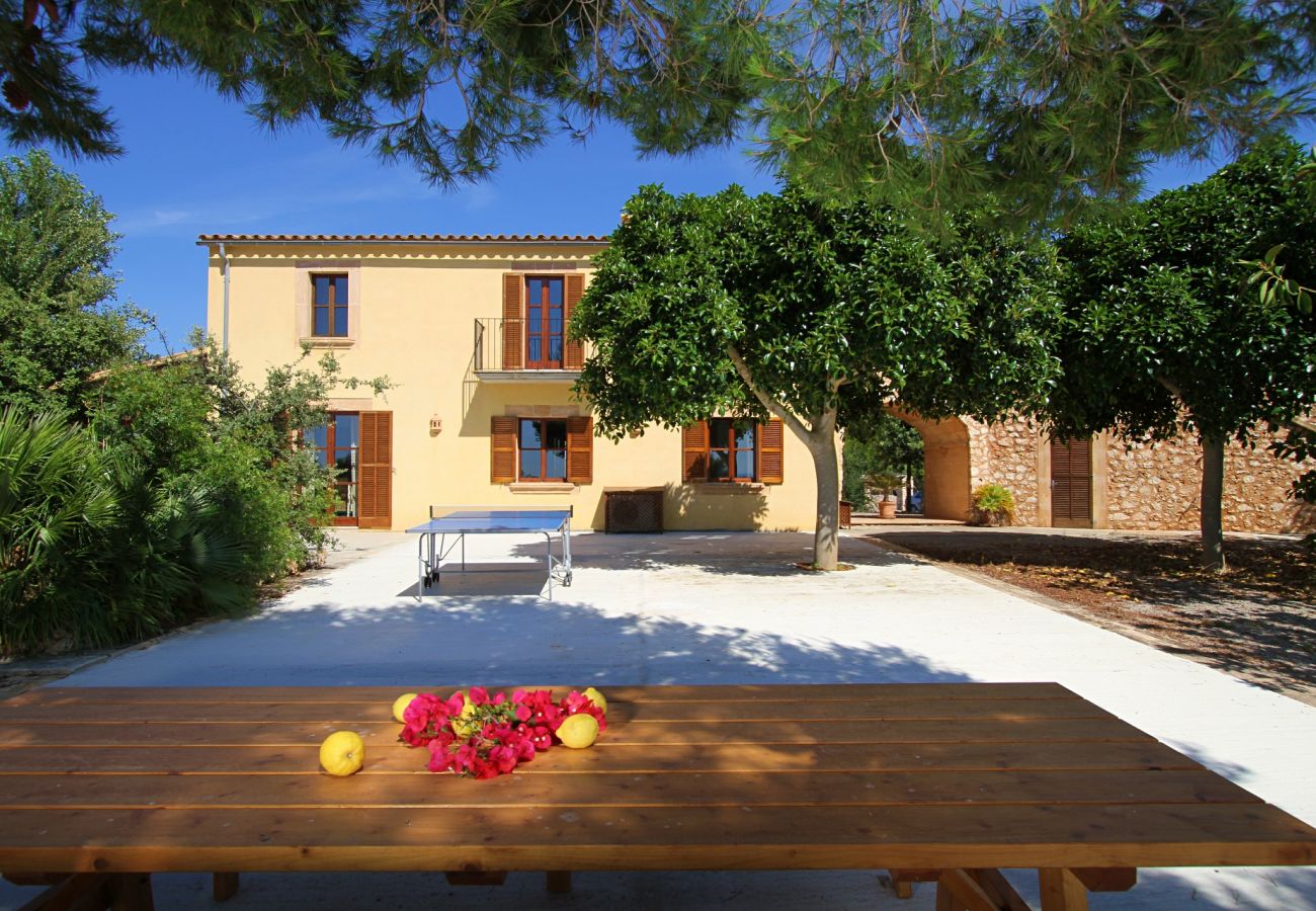 Country house in Porto Cristo - Finca Vista Alegre - Porto Cristo - Mallorca