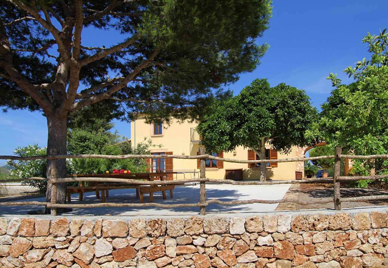 Country house in Porto Cristo - Finca Vista Alegre - Porto Cristo - Mallorca