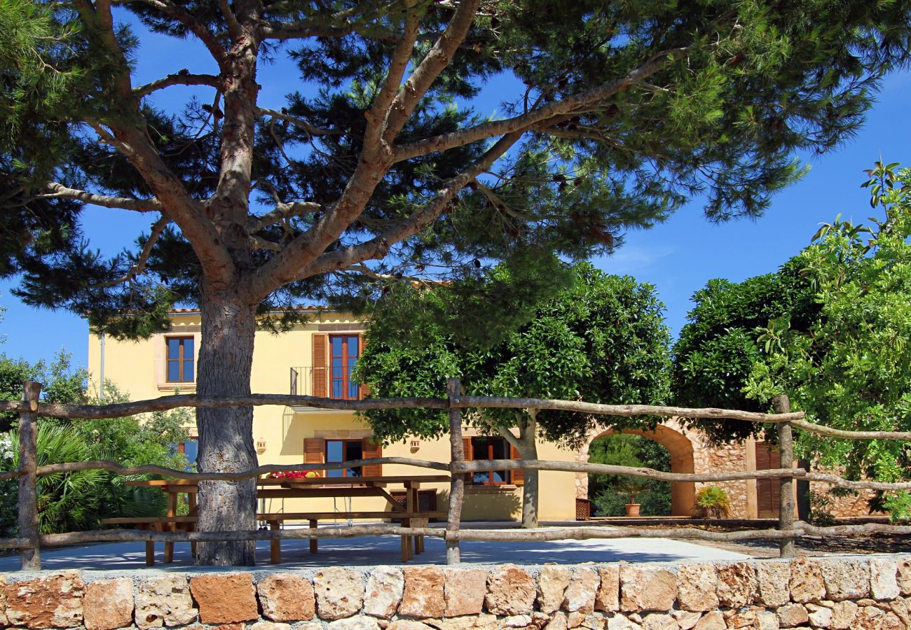 Country house in Porto Cristo - Finca Vista Alegre - Porto Cristo - Mallorca