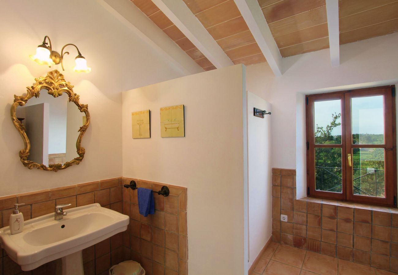 Country house in Porto Cristo - Finca Vista Alegre - Porto Cristo - Mallorca