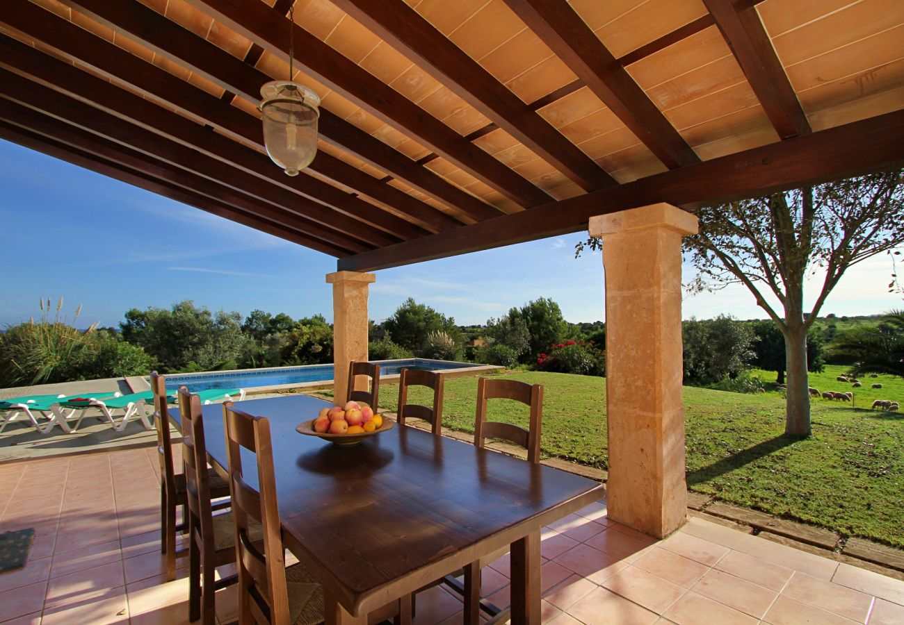 Country house in Porto Cristo - Finca Vista Alegre - Porto Cristo - Mallorca