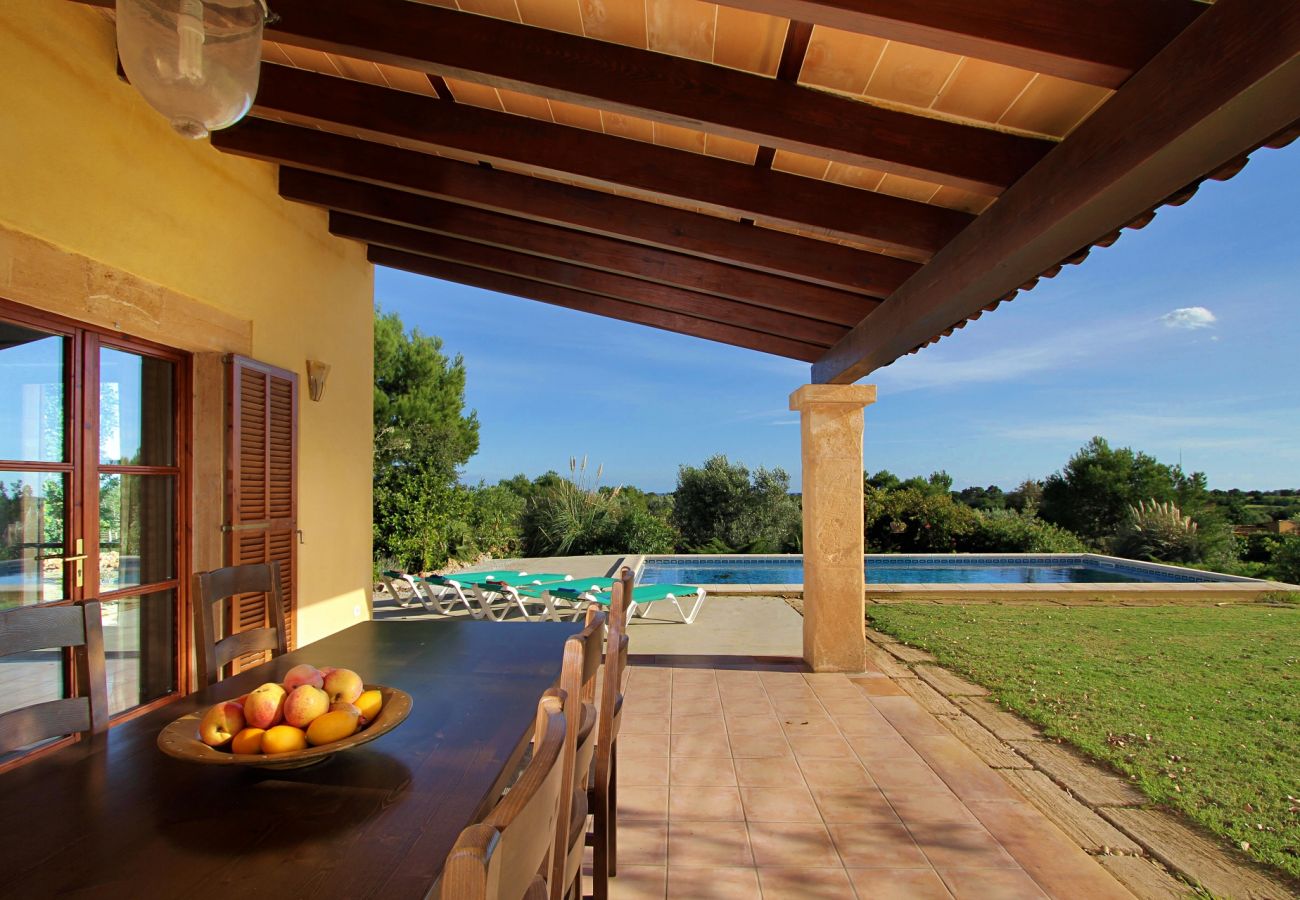 Country house in Porto Cristo - Finca Vista Alegre - Porto Cristo - Mallorca