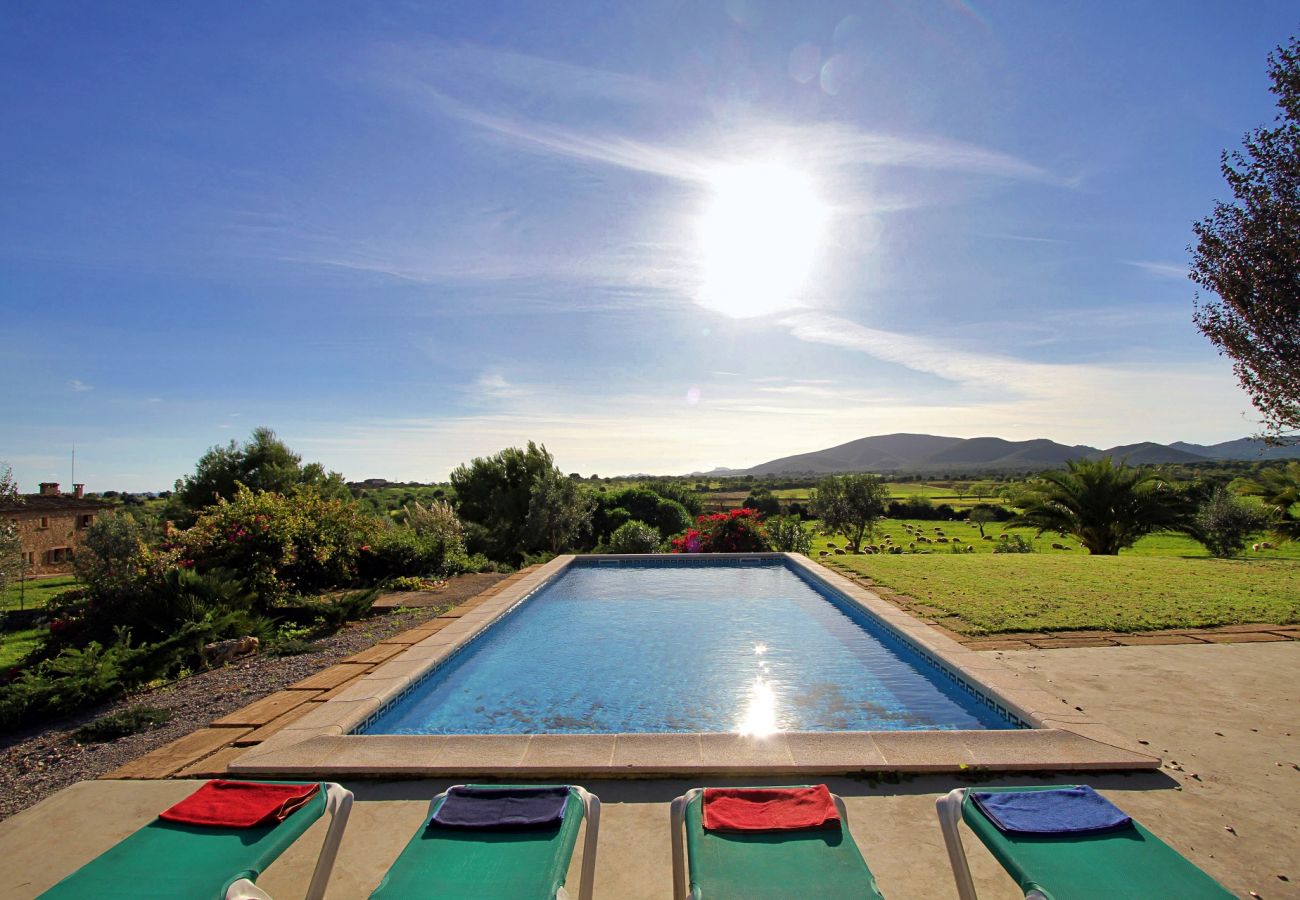 Country house in Porto Cristo - Finca Vista Alegre - Porto Cristo - Mallorca