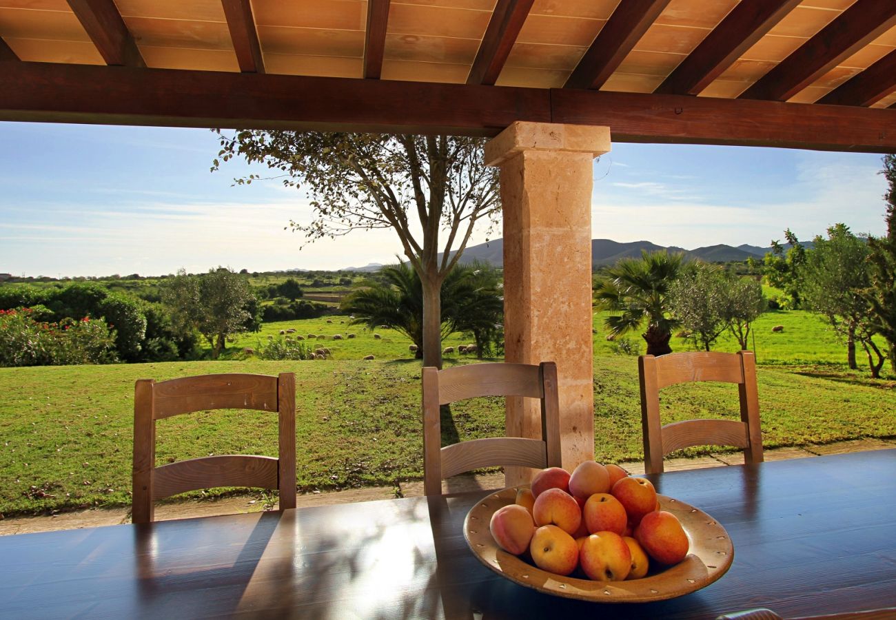 Country house in Porto Cristo - Finca Vista Alegre - Porto Cristo - Mallorca